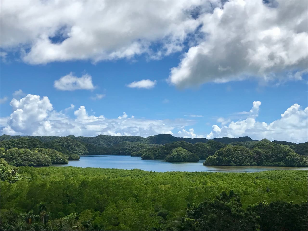 palau2.jpg
